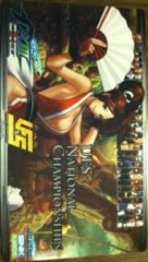 2013 Nationals Play Mat